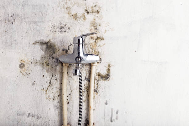 Best Water Damage Restoration  in Bayshe, OR